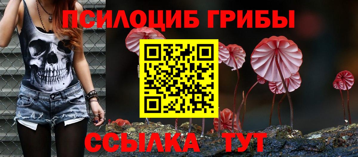 Вышний Волочёк  Псилоцибиновые грибы Psilocybe  дарнет шоп  Вход с VPN 